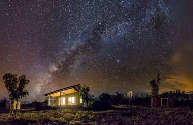 Starlit Skies of Kalapana