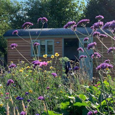 Steam and Stars Luxury Glamping