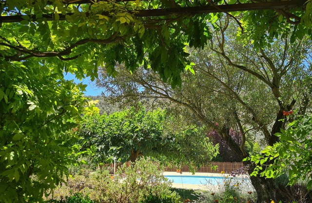 ESTUDIO - recomendado por el pequeño FUTE - PISCINA - vista de los viñedos