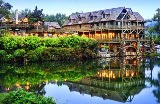 Studio Suite, Sleeps 4, at Big Cedar Wilderness Club in Branson, MO!!
