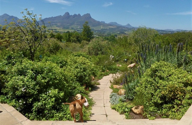 Impresionantes vistas a la montaña y al mar en Cape Winelands