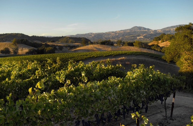 Stunning Sonoma 3BR, 3BA house w/view, lap pool, hot tub, Tesla chgr, Healdsburg