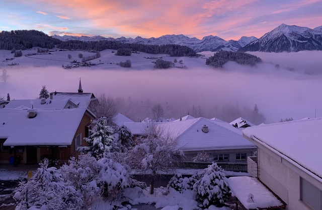 Stunning Swiss mountain and lake views!