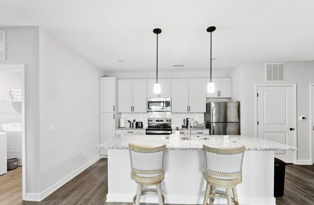 Stylish and Modern Charlotte Apartment Near UNC 8308