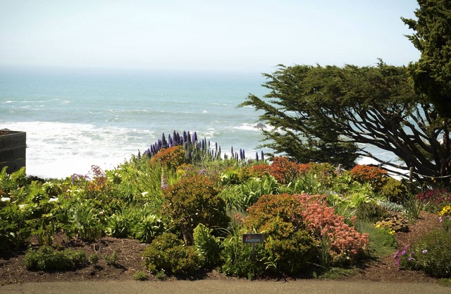 Elegante cabaña en la playa de Wrights - Vistas al océano, jardines y colinas