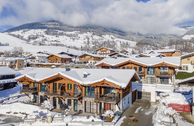 Stylish penthouse with shared sauna and lift