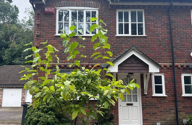 Stylish, Renovated Chislehurst Retreat – Walk to Station, Pubs & More!