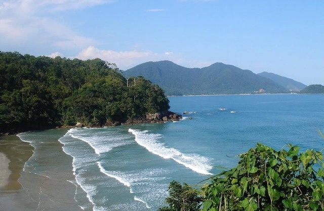 Adecuado para su estilo, una playa única con todo el encanto del bosque atlántico.