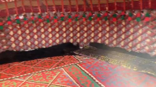 Sulaimankul