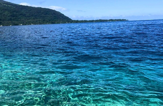 TAHITI ITI - Bungalow Ariitea