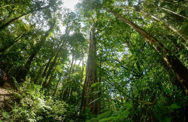 Talamanca Nature Reserve