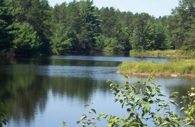 Tall Pines Lodge (Cottages On Serenity Lake) con 80 acres de vida silvestre.