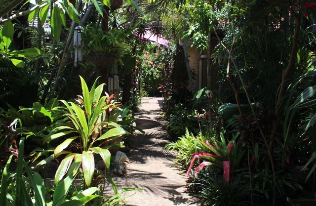 Tallows Beach Sanctuary - Octubre / noviembre Especial $ 800 / semana.