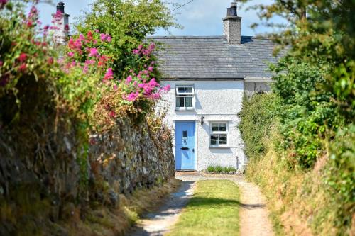 Tan-Y-Fynwent