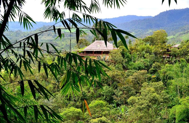 Terrabambu Lodge