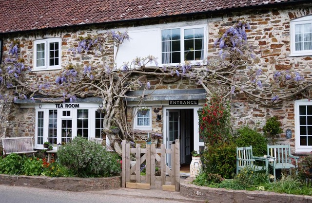 The Bark House