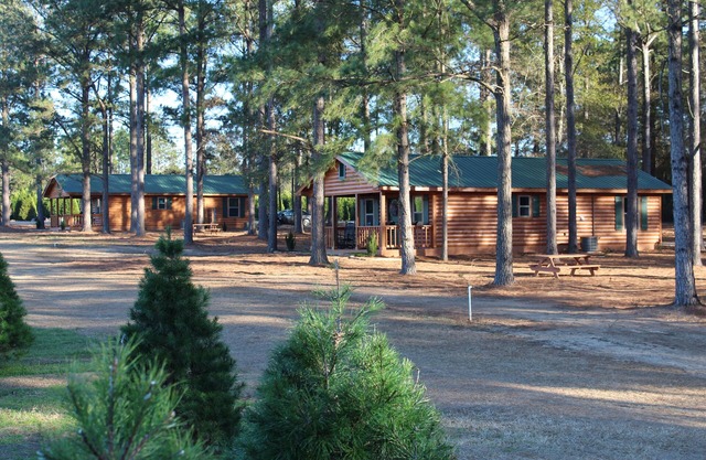 Alquiler de cabaña de troncos en Fish River Christmas Tree Farm