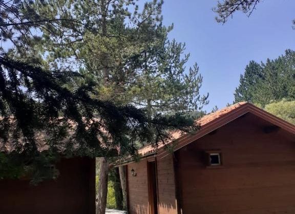 The Chalet, Iliria Llogora