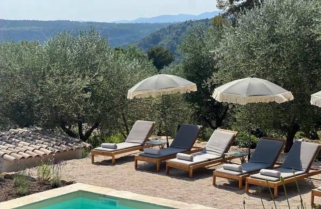 The content olive grove