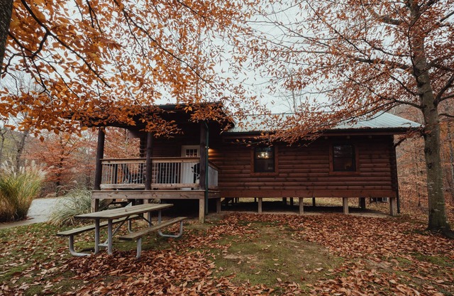 The Escape - Retreat to the pet-friendly Escape Cabin in Hocking Hills, OH! Enjoy a cozy stay with a hot tub, fire pit, hiking, waterfalls, and more. Book your getaway today!