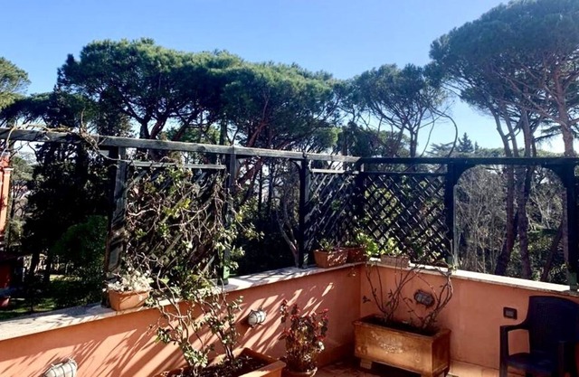 Penthouse "The Great Beauty". The large and bright apartment in the greenery of Rome