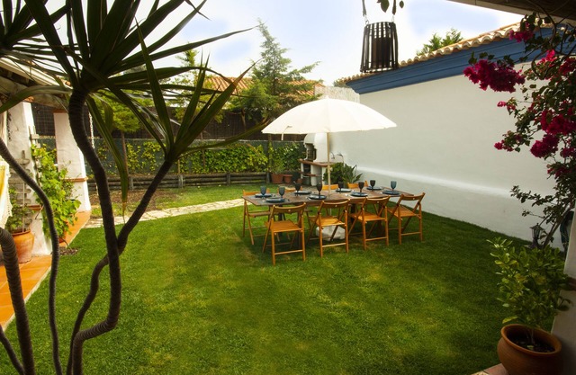 La casa del pequeño olivo