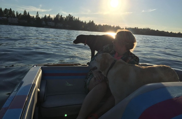 The Lake Tapps Waterfront Hideaway Family Pet-Friendly, Warm hot tub, Lake Life!