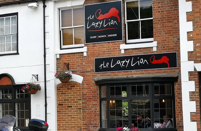 The Lazy Lion
