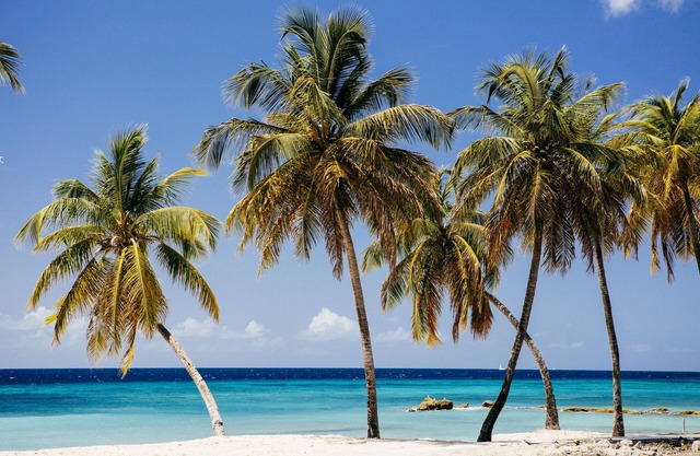 The Liming Bequia