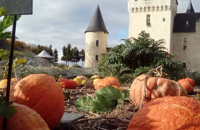 La presentación de once acres en el corazón de Touraine