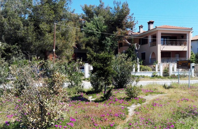 The Pink Oleander House en la playa con una vista espectacular - 6 personas