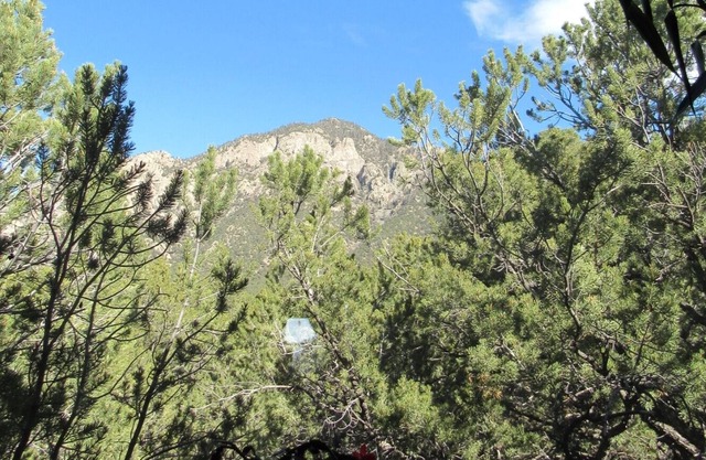 The Treehouse - ¡Mira los árboles y las montañas en lugar de tus vecinos!