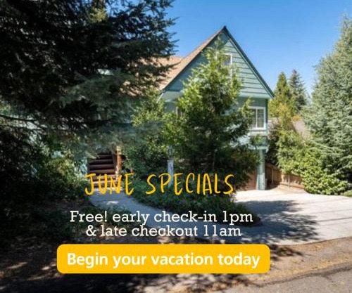 TheDragon's Den Mega Cabin Sleeps 12