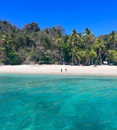Tour de Bioluminisciencia con Camping