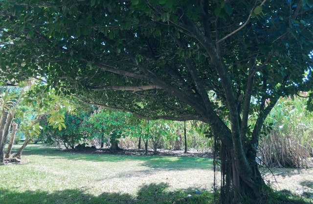 VILLA ANACAHUITA - Limonal, Jarabacoa