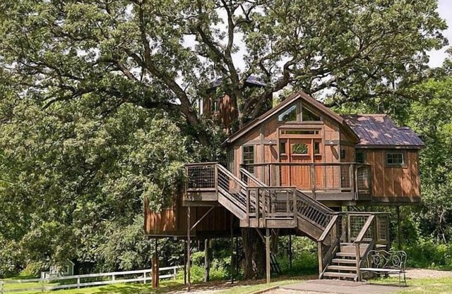 Tree House Treehouse Mansion Lofty Lodge