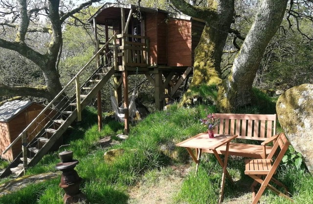 Casa del árbol cerca del Proyecto Edén