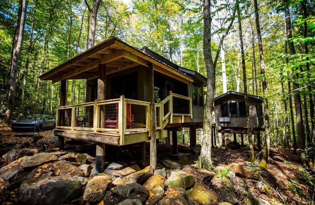 Treehouse Over Creek with WiFi, private hiking trails, firepit & swimming hole