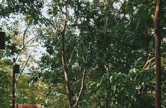 TreeHouse Studio Beachfront Aqua Nicaragua Resort