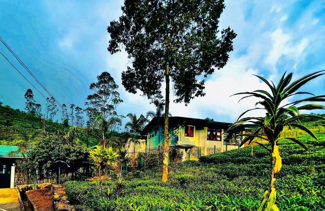TRINITONS tea view lake resort