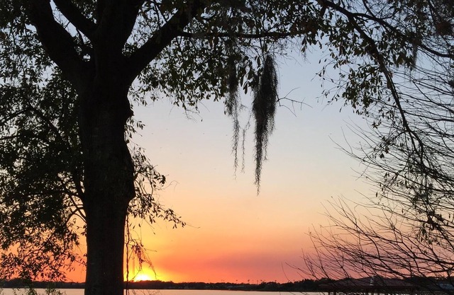 True Whimsical Lakefront Getaway; ¡Amado por los Snowbirds de regreso!