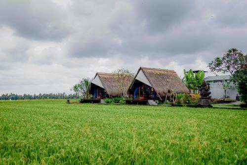 Ubud Rice Field Stay by WAHM Hotel Management