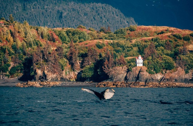 Faro único de Clifftop con impresionantes vistas de la bahía de Kachemak