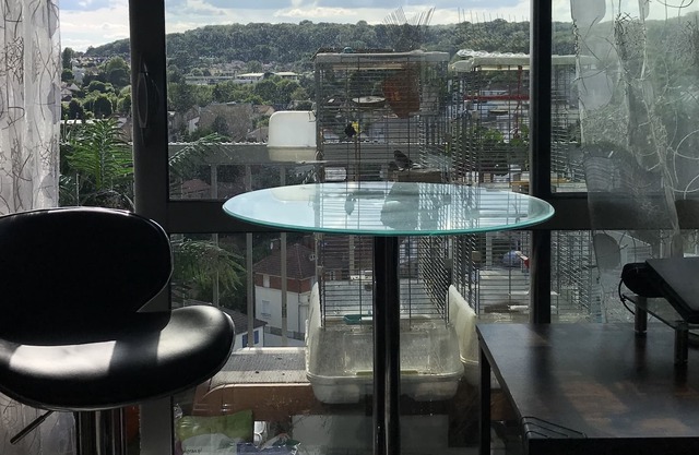Unique view 15mn from Paris in safe and green neighborhood - spa and fiber wifi