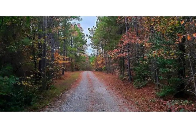 Unplug and relax at this peaceful farm retreat in the North Carolina pines.