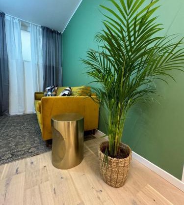 Urban Green Suite