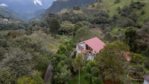 URKU ALLIPACHA Mountain Retreat w/Organic Garden