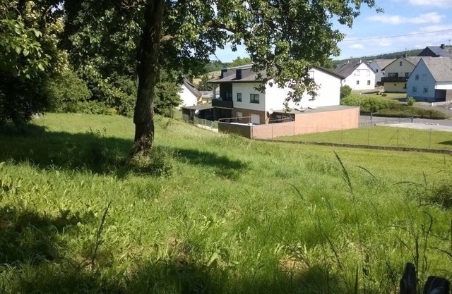 Apartamento / app. para 5 personas con 130m² en Morbach (93242)