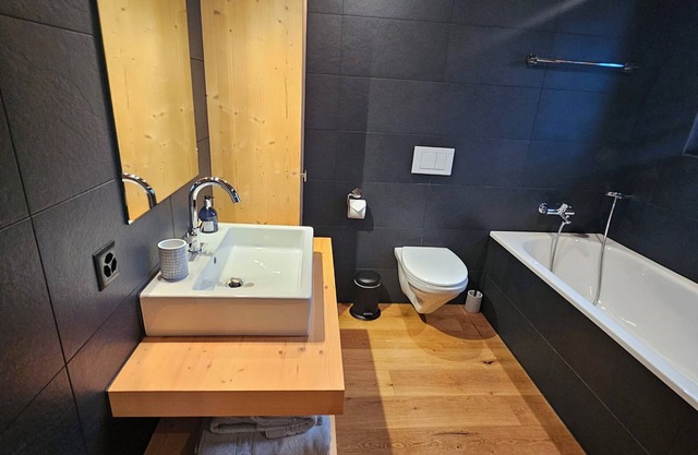 Vacation apartment in Gsteig (near Gstaad), mid-December 2025 to mid-March 2026!