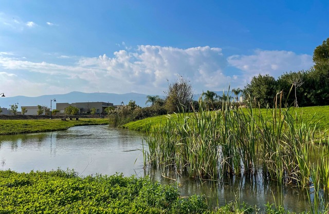 Vacation home at kibbutz Hagoshrim, 5 min walk the river
